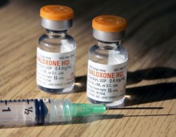 naloxone overdose treatment
